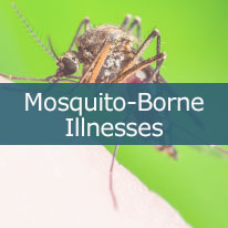 Mosquito Borne Illnesses