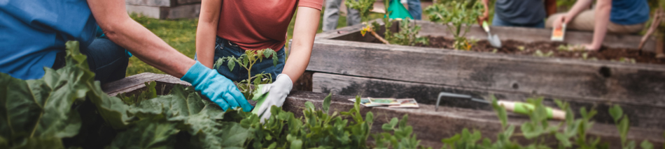 Gardening