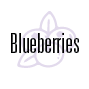 Blueberries