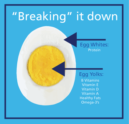 The Great Egg Debate - Are Eggs Healthy or Unhealthy?